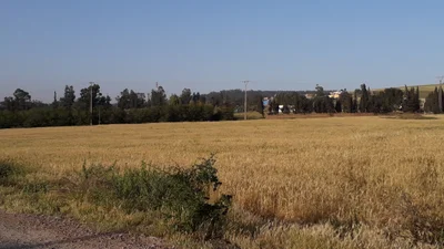 Settat - Photo 4