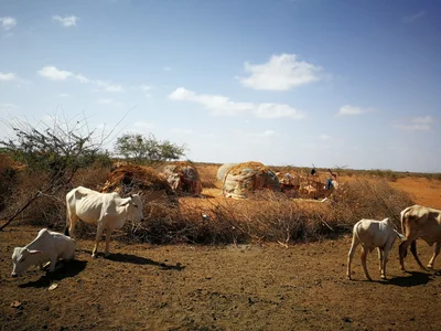 Bura - Photo 4
