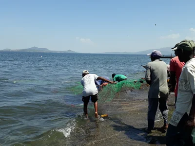 Mfangano Island ward - Photo 2