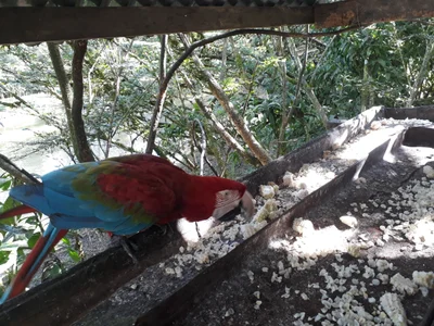 Cotundo - Photo 5