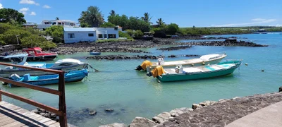 Puerto Ayora - Photo 3