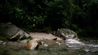 balneario El Yani - Photo 5