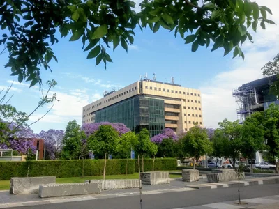 Rosebank - Photo 4