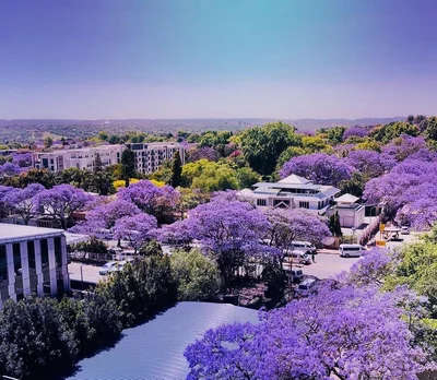 Rosebank - Photo 5