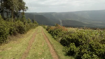 Kiambu Township ward - Photo 5