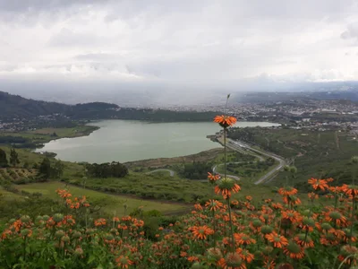 Ibarra - Photo 3