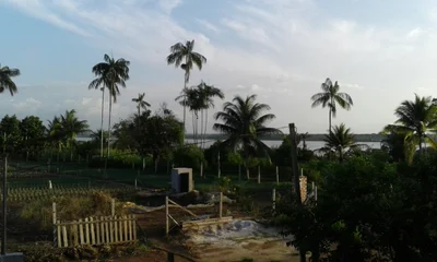 Iranduba - Photo 4
