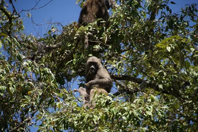 Arusha - Photo 2