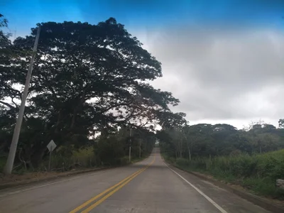 La Victoria - Photo 3