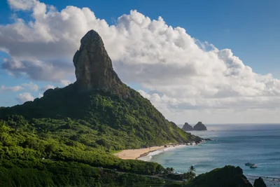Fernando de Noronha - Photo 3