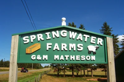 Springwater Farm - Photo 2