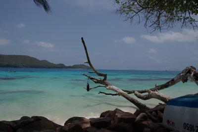 Anse Boudin - Photo 2