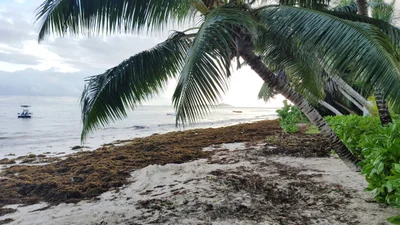 Grand Anse Praslin - Photo 2