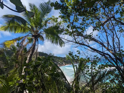 Grand Anse Praslin - Photo 4