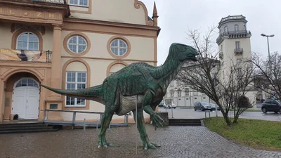 Kassel - Photo 5
