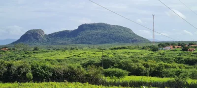 Aracoiaba - Photo 3