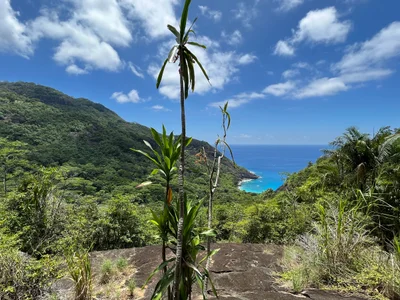 La Digue - Photo 3