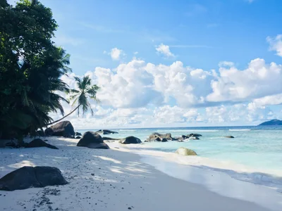 La Digue - Photo 5