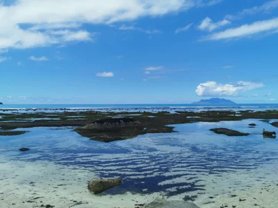 Mare Anglaise - Photo 4