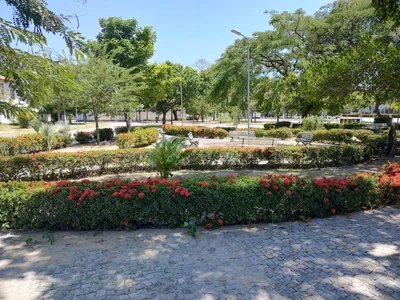 CE-534 - Photo 2