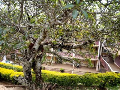 Bumbuli - Photo 2