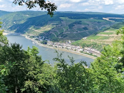 Rüdesheim am Rhein - Photo 2