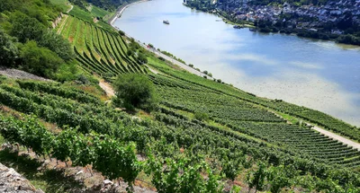 Rüdesheim am Rhein - Photo 3