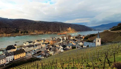 Rüdesheim am Rhein - Photo 5