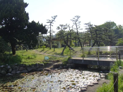 Sakai - Photo 2