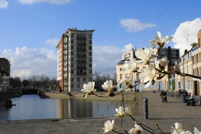 Lille - Photo 2