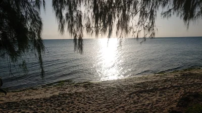Bububu - Photo 3