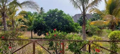 Dongwe - Photo 4