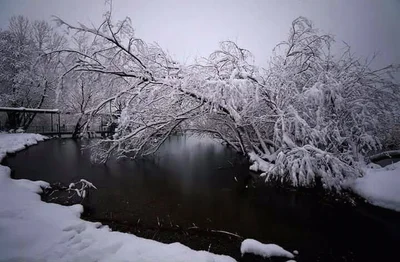 Kartepe - Photo 5