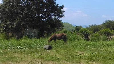 Chongoyape - Photo 5
