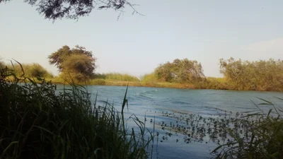 Pomalca - Photo 2