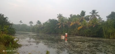 Cherthala - Photo 2