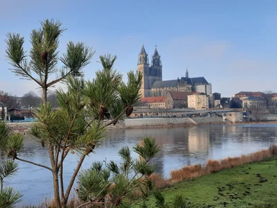 Magdeburg - Photo 5
