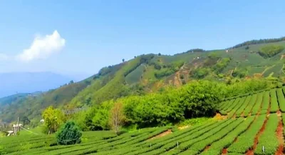 Meishan Township - Photo 5