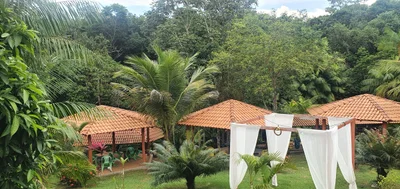 Carolina - Photo 3
