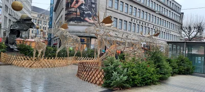 Bochum - Photo 4