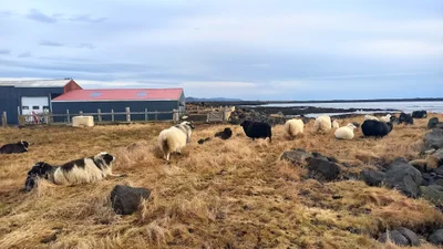 Grindavík - Photo 3