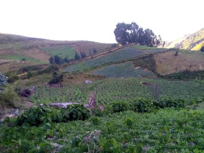 Mvomero - Photo 3