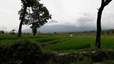 Purwosari - Photo 2