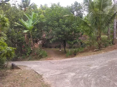 Giripurwo - Photo 3