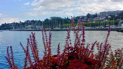 Thonon-les-Bains - Photo 5