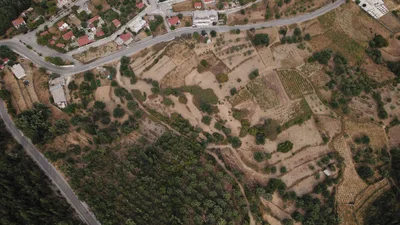 Municipal Unit of Elios-Proni - Photo 2