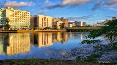 Recife - Photo 4