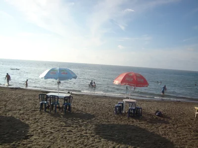Baktisebaga - Photo 4