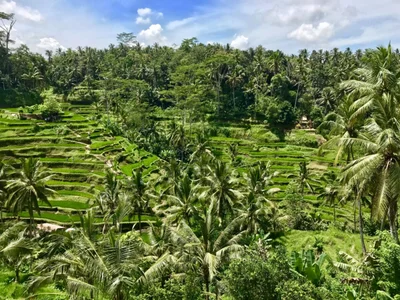 Sambangan - Photo 3