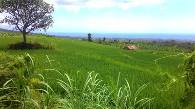 Ambengan - Photo 4